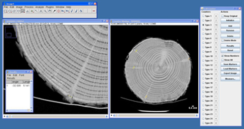 Analysis of scanned log